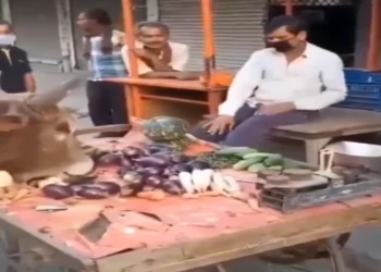 Viral Video: હૃદયસ્પર્શી ચેષ્ટા! ગરીબ વિક્રેતા તેના શાકભાજી પર આખલાને મિજબાની કરવા દે છે, ઓનલાઇન દિલ જીતે છે, જુઓ