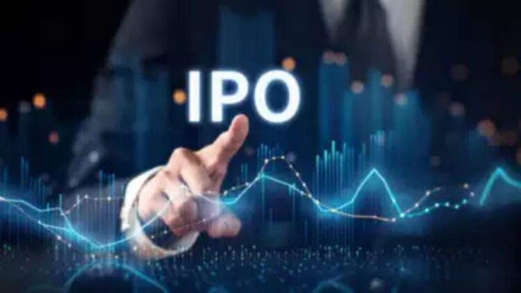 IPO રોલરકોસ્ટર: ભારતના ટોચના 30 IPO બજારમાં કેવી રીતે આવ્યા? - હવે વાંચો