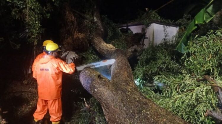 ચક્રવાત દાના લાઇવ અપડેટ: NDRF કેન્દ્રપારા, ઓડિશામાં પડેલા વૃક્ષને સાફ કરે છે