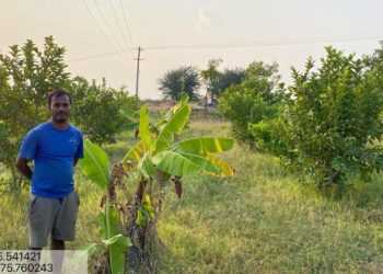 વિક્રમસિંહ બાયલી: યુએસમાં આઇટી પ્રોફેશનલથી કર્ણાટકમાં રિજનરેટિવ ફાર્મિંગ માટે વકીલ