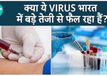 શું H5N1 વાયરસ ભારતમાં સ્વાસ્થ્ય સંકટ પેદા કરી શકે છે? વન્યજીવોના મૃત્યુ ગંભીર ચિંતાઓ ઉભા કરે છે. શું આ વાયરસ આપણા સુધી ફેલાઈ શકે છે | આરોગ્ય જીવંત