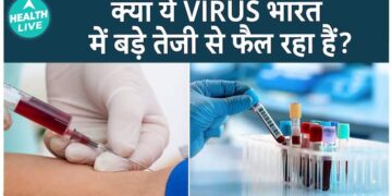 શું H5N1 વાયરસ ભારતમાં સ્વાસ્થ્ય સંકટ પેદા કરી શકે છે? વન્યજીવોના મૃત્યુ ગંભીર ચિંતાઓ ઉભા કરે છે. શું આ વાયરસ આપણા સુધી ફેલાઈ શકે છે | આરોગ્ય જીવંત