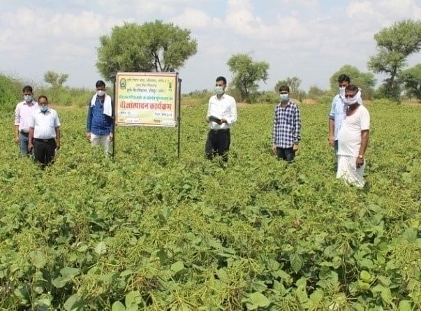 સીડ હબ દ્વારા મગની સુધારેલી જાતોનો પ્રચાર