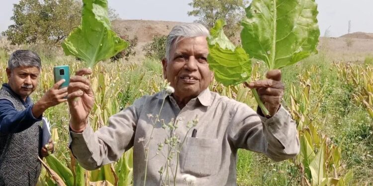 મહારાષ્ટ્ર ખેડૂત કુદરતી ખેતી સાથે કૃષિમાં ક્રાંતિ લાવે છે, વાર્ષિક 1 કરોડ લિટર વરસાદી પાણીનું સંરક્ષણ કરે છે, પદ્મ શ્રી જીતે છે