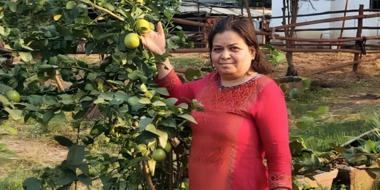 સ Software ફ્ટવેર એન્જિનિયરથી સફળ નેચરલ ફાર્મર: ગુજરાત વુમન રૂ. 5 લાખ વાર્ષિક અને તેના 25 એકર નવસારી ફાર્મ પર માટીના આરોગ્યને પુનર્સ્થાપિત કરે છે