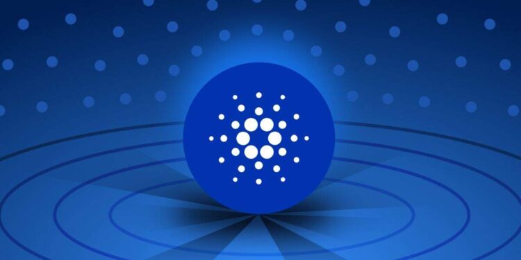 કાર્ડાનો 2025 માટે વિકાસકર્તા પ્રવૃત્તિમાં ઇથેરિયમને ધબકતો