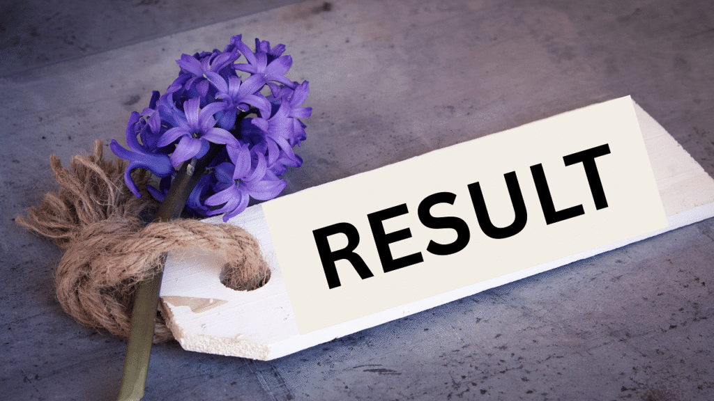 તમિલનાડુ એચએસઈ પ્લસ 2 પરિણામો 2025 tnresults.nic.in પર જાહેર કરાયું: અહીં કેવી રીતે તપાસ કરવી, ટકાવારી, સીધી લિંક અને વધુ કેવી રીતે તપાસ કરવી તે છે
