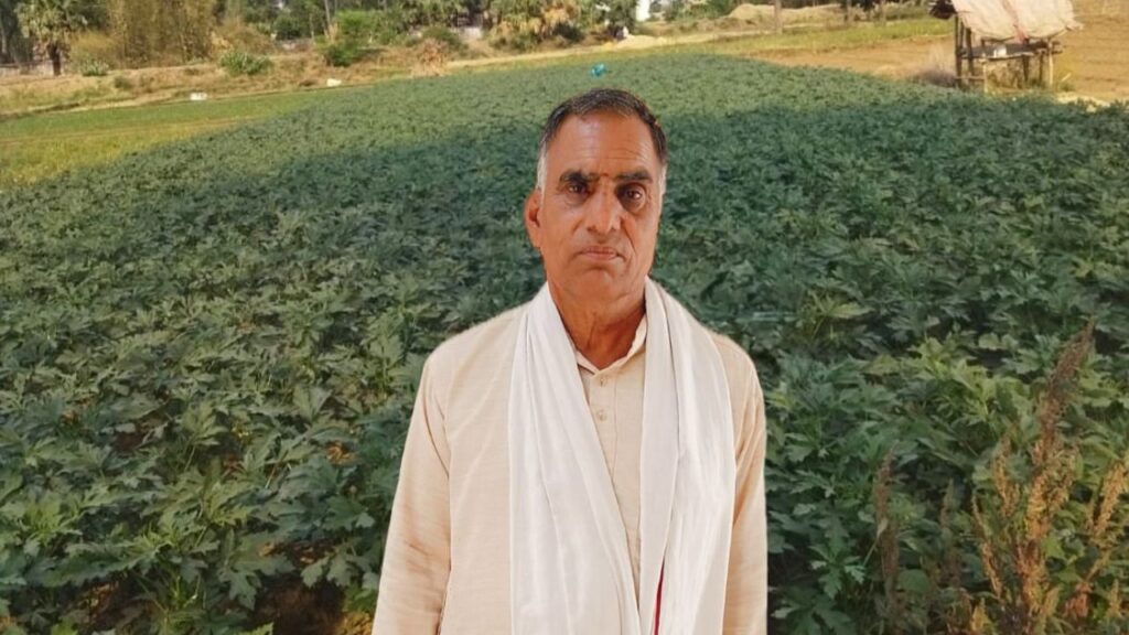 યુપી ખેડૂત આધુનિક તકનીકો સાથે વધતા ટામેટા, બ્રિંજલ અને બટાકાની ખેતી દ્વારા હેક્ટર દીઠ 75,000 ચોખ્ખો નફો મેળવે છે