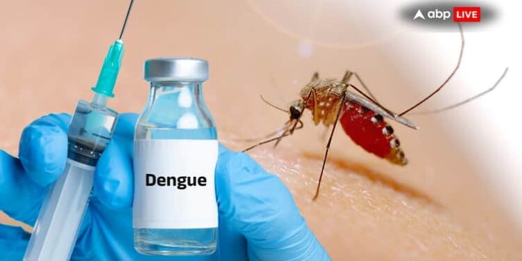 QDENGA ડેન્ગ્યુ રસી ભારત આવી રહી છે: અહીં શું અપેક્ષા રાખવી તે છે