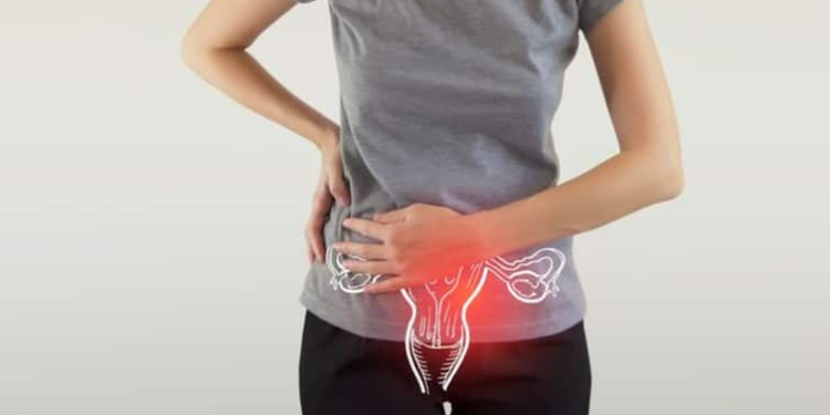 ઉચ્ચ BMI સાથે વ્યવહાર કરતી મહિલાઓને અંડાશયના કેન્સરનું જોખમ કેમ હોઈ શકે છે