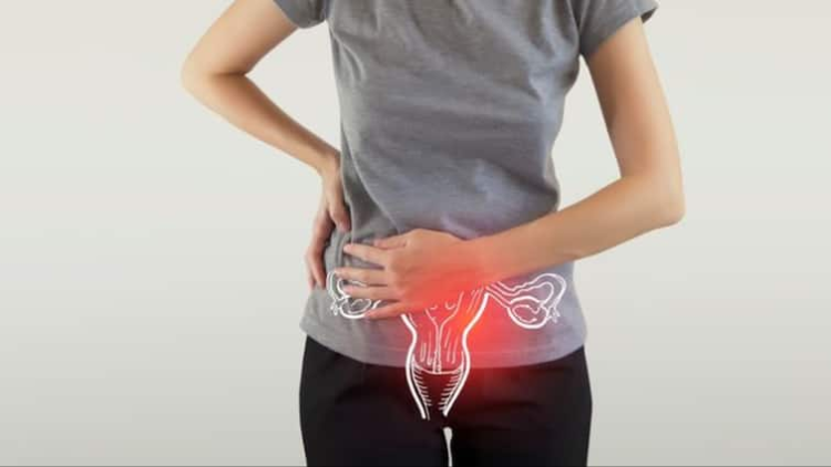ઉચ્ચ BMI સાથે વ્યવહાર કરતી મહિલાઓને અંડાશયના કેન્સરનું જોખમ કેમ હોઈ શકે છે