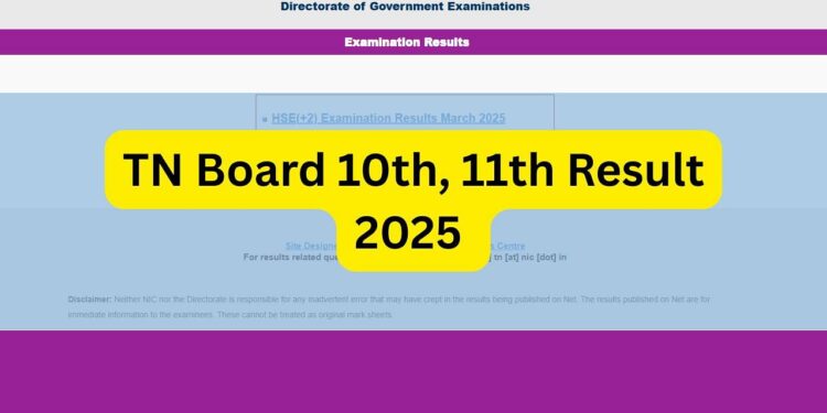 ટી.એન. બોર્ડ 10 મી, 11 મી પરિણામ 2025: તારીખ અને સમયની ઘોષણા; અહીં ડાઉનલોડ કરવા માટે બધી વિગતો, લિંક્સ અને પગલાં તપાસો