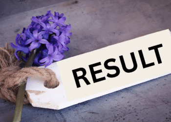 તમિલનાડુ એચએસઈ પ્લસ 2 પરિણામો 2025 tnresults.nic.in પર જાહેર કરાયું: અહીં કેવી રીતે તપાસ કરવી, ટકાવારી, સીધી લિંક અને વધુ કેવી રીતે તપાસ કરવી તે છે