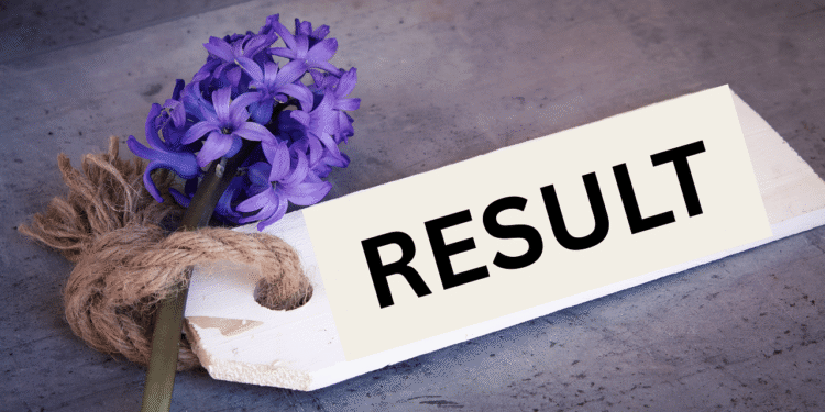 તમિલનાડુ એચએસઈ પ્લસ 2 પરિણામો 2025 tnresults.nic.in પર જાહેર કરાયું: અહીં કેવી રીતે તપાસ કરવી, ટકાવારી, સીધી લિંક અને વધુ કેવી રીતે તપાસ કરવી તે છે