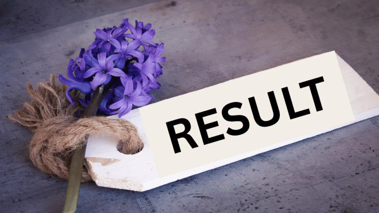 તમિલનાડુ એચએસઈ પ્લસ 2 પરિણામો 2025 tnresults.nic.in પર જાહેર કરાયું: અહીં કેવી રીતે તપાસ કરવી, ટકાવારી, સીધી લિંક અને વધુ કેવી રીતે તપાસ કરવી તે છે