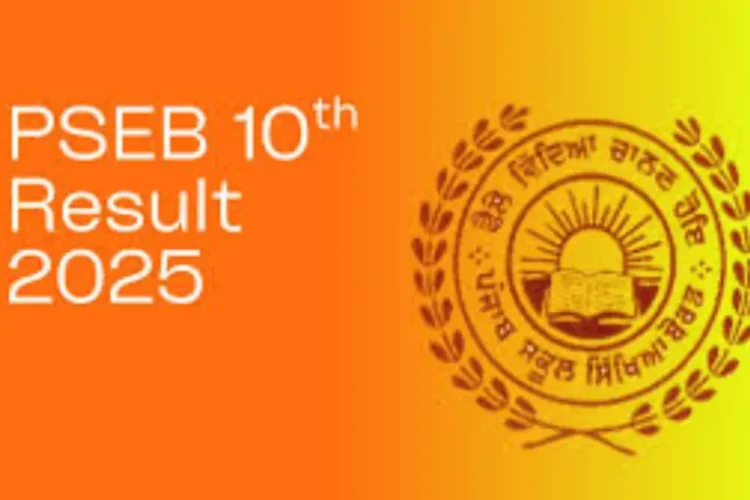 પીએસઇબી 10 મી પરિણામ 2025: 95.61% વિદ્યાર્થીઓ પરીક્ષા પાસ, ચેક પરિણામો, ટોપર સૂચિ અને અન્ય વિગતો પાસ કરે છે
