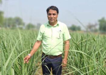 યુપી ખેડૂત સરતાજ ખાન નવીન શેરડીની ખેતીથી કરોડની કમાણી કરે છે