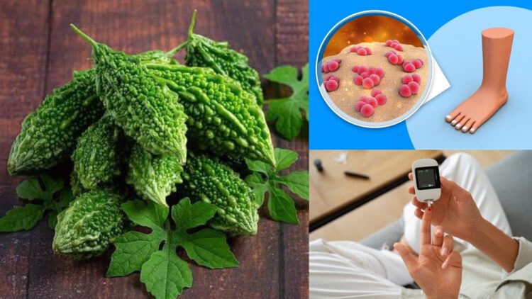 યુરિક એસિડ અને ડાયાબિટીઝને નિયંત્રિત કરવા માટે કડવો લોર્ડ ફાયદાકારક છે, તેનો વપરાશ કેવી રીતે કરવો તે જાણો