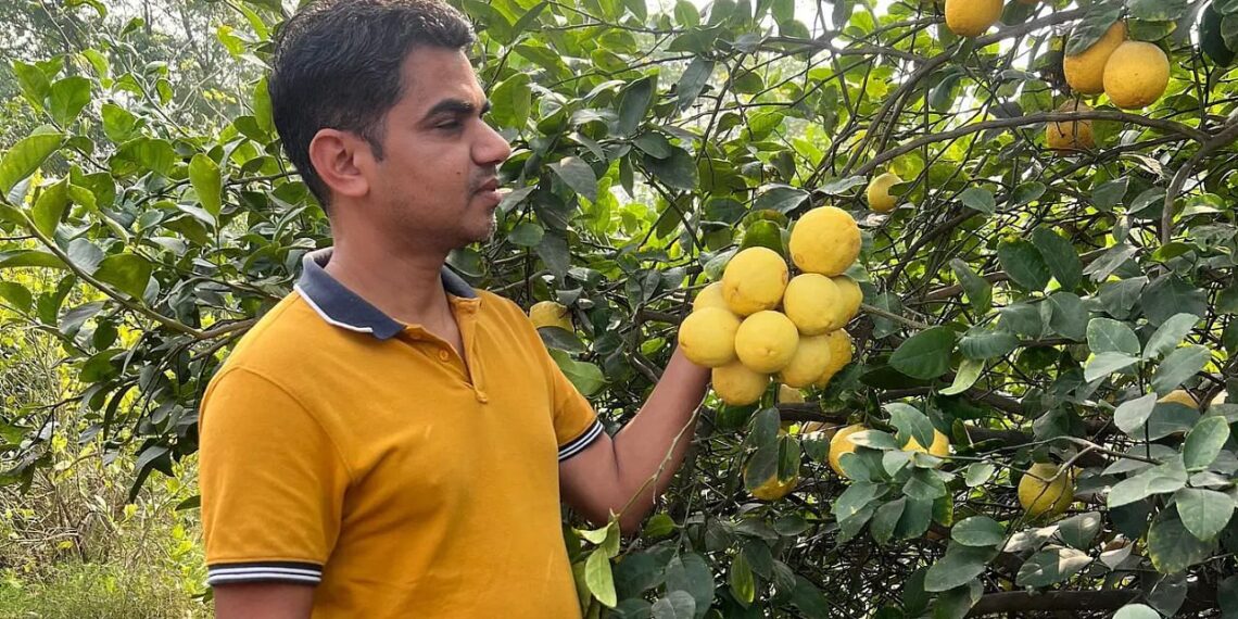 લેખ રામ યાદવ એ 2 ડેરી, કૃષિ-પર્યટન અને ટકાઉ ખેતી તકનીકો સાથે રૂ. 17 કરોડનો વ્યવસાય બનાવે છે