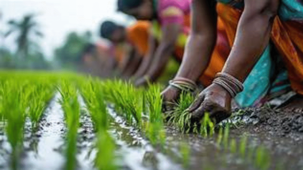 પીએમ-કિસાન 20 મી હપતા 2025: કોણ ગુમ થયેલ છે અને કેવી રીતે સાઇન અપ કરવું