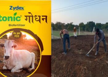 ઝાયટોનિક ગોડન: નફાકારક કાર્બનિક ખેતી અને પશુપાલન માટેનો આધુનિક ઉપાય