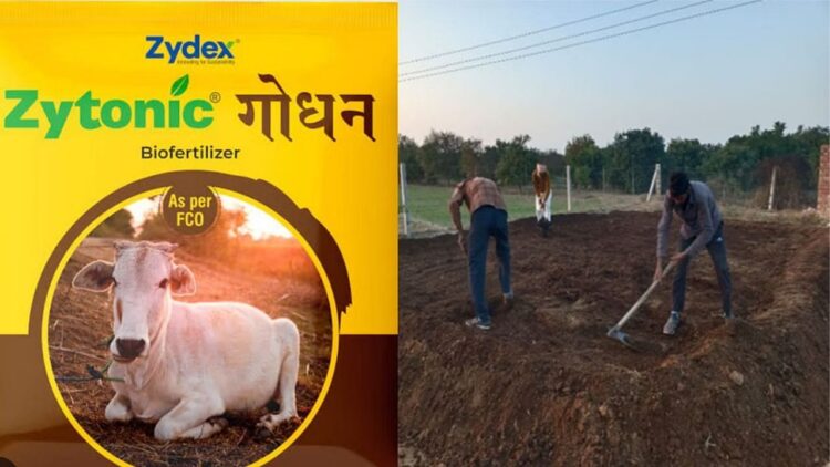 ઝાયટોનિક ગોડન: નફાકારક કાર્બનિક ખેતી અને પશુપાલન માટેનો આધુનિક ઉપાય