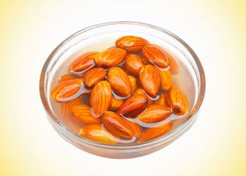 તમારે રાતોરાત પલાળીને જ બદામ ખાવું જોઈએ? તબીબી વ્યવસાયીનું વજન છે