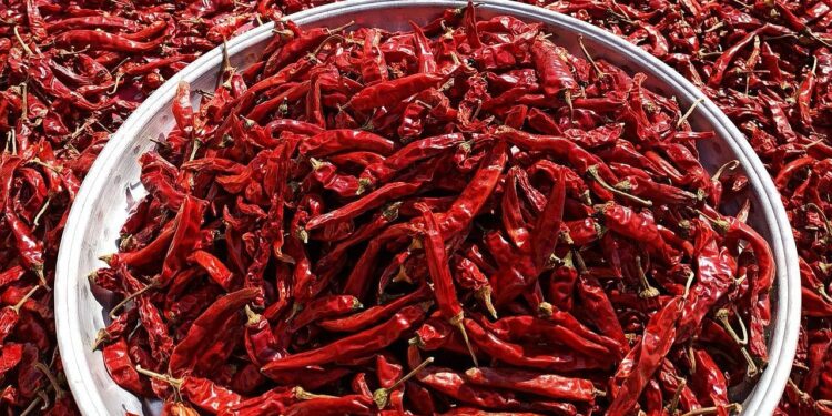 બાયડાગી મરચાં: yield ંચી ઉપજ, ઓછી ગરમી અને મોટા નફો માટે કર્ણાટકનું લાલ સોનું!