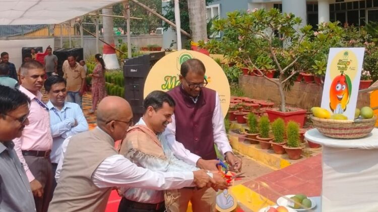 ભુવનેશ્વરમાં નાબાર્ડનો વાર્ષિક કેરી ફેસ્ટિવલ શરૂ થયો, જેમાં ઓડિશાની કેરીની વિવિધતા પ્રદર્શિત કરે છે