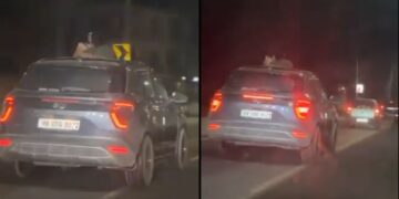 વાયરલ વિડિઓ: હાઇવે રોમાંસ ક્રોસ મર્યાદા! ચંદીગ han- મનાલી રૂટ પર સનરૂફ દ્વારા વરાળ પીડીએ પ્રશ્નો ઉભા કરે છે