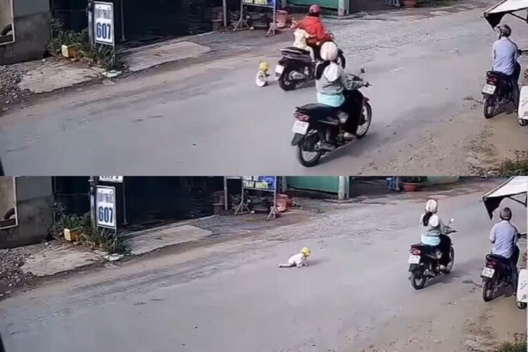 વાયરલ વિડિઓ: હાર્ટ-રેંચિંગ! ફાધર રસ્તા પર બાળકને છોડી દે છે, આક્રોશ ફેલાય છે