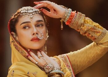 'હું હજી પણ રાહ જોઈ રહ્યો છું': એડિટી રાવ હૈદારીએ કામ ન મેળવ્યું હોવા છતાં, દરેક વ્યક્તિએ હીરામંડીમાં તેના અભિનયને પ્રેમ કરવો