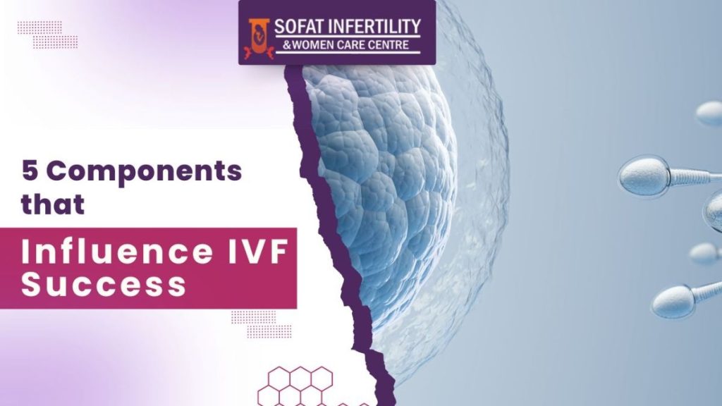 5 ઘટકો જે IVF સફળતાને પ્રભાવિત કરે છે