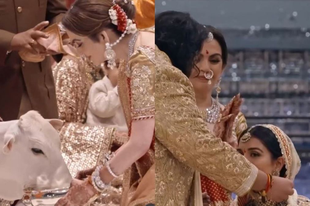 અનંત અંબાણી -રાધિકા વેપારી લગ્ન વર્ષગાંઠ: નીતા અંબાણીએ ગાયને ફીડ્સ, તાળીઓ મારતાં વાયરલ વિડિઓમાં લગ્ન કર્યા હતા - જુઓ
