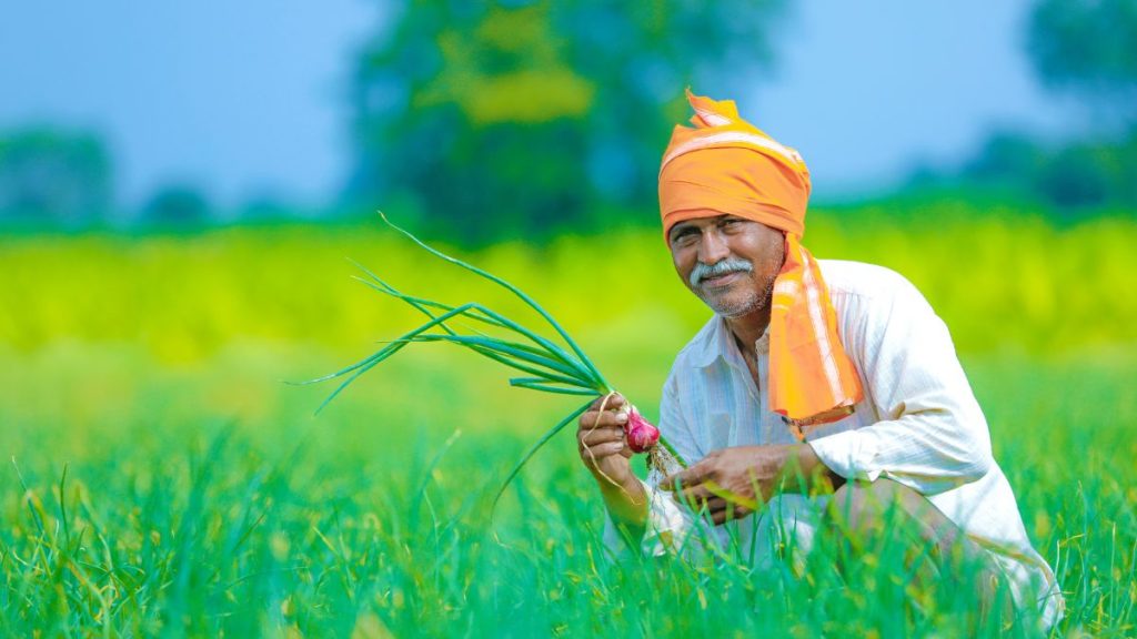 કેબિનેટ પીએમ ધન-ધન્યા ક્રિશી યોજનાને 100 જિલ્લાઓ માટે રૂ. 24,000 કરોડની વાર્ષિક ખર્ચ સાથે સાફ કરે છે