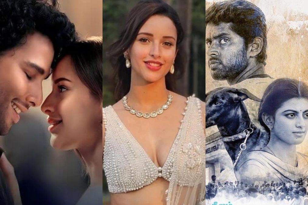 ધડક 2: 'કંઈક બદલાયું…' ટ્રિપ્ટી દિમ્રી પેન પ્રકાશનની આગળ લાંબી નોંધ - શું આ પેરિયરમ પેરુમાલ રિમેક ટકી શકશે?