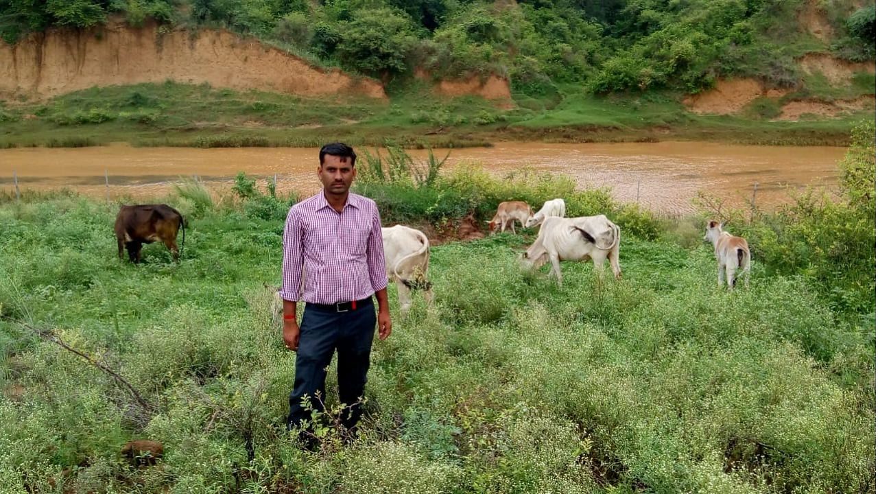 પ્રાકૃતિક ખેતી મુંબઇ અને રીવા વચ્ચે મુસાફરી કરવા માટે આ યાંત્રિક ઇજનેરથી બનેલા-ખેડૂતને દોરે છે-એકર દીઠ 2 થી 3 ગણા ઉપજ પ્રાપ્ત કરે છે