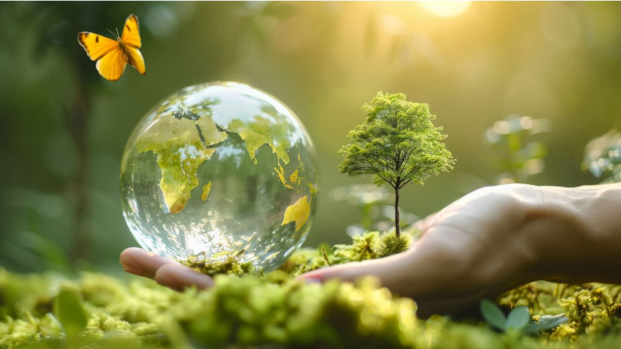 વિશ્વ પ્રકૃતિ સંરક્ષણ દિવસ 2025: પ્રકૃતિને પુનર્સ્થાપિત કરવા, સુરક્ષિત કરવા અને ટકાવી રાખવાની વૈશ્વિક પ્રતિબદ્ધતા